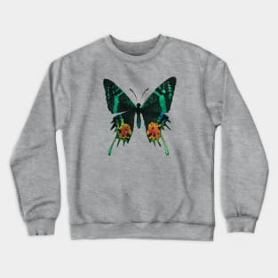 Madagascan Sunset Moth Watercolor Illustration Crewneck Sweatshirt